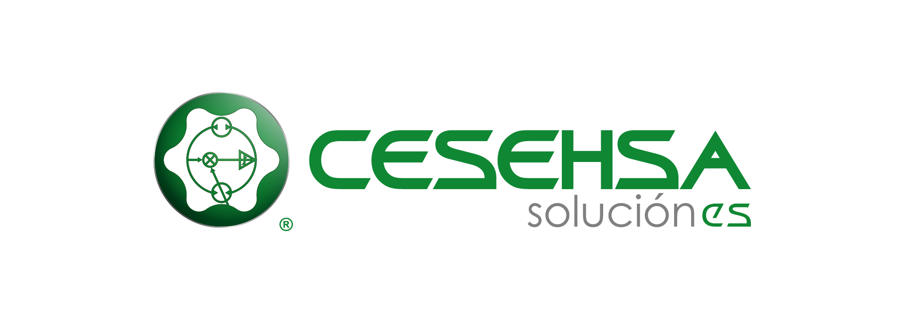 Capacitación Áreas de Efectividad CAE01